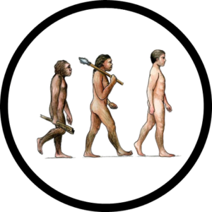 Human_Evolution_Icon