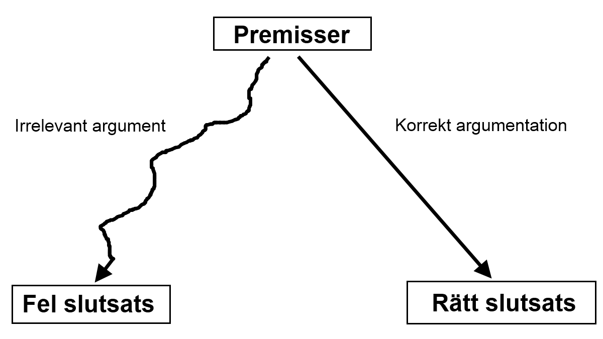 argumentationsfel