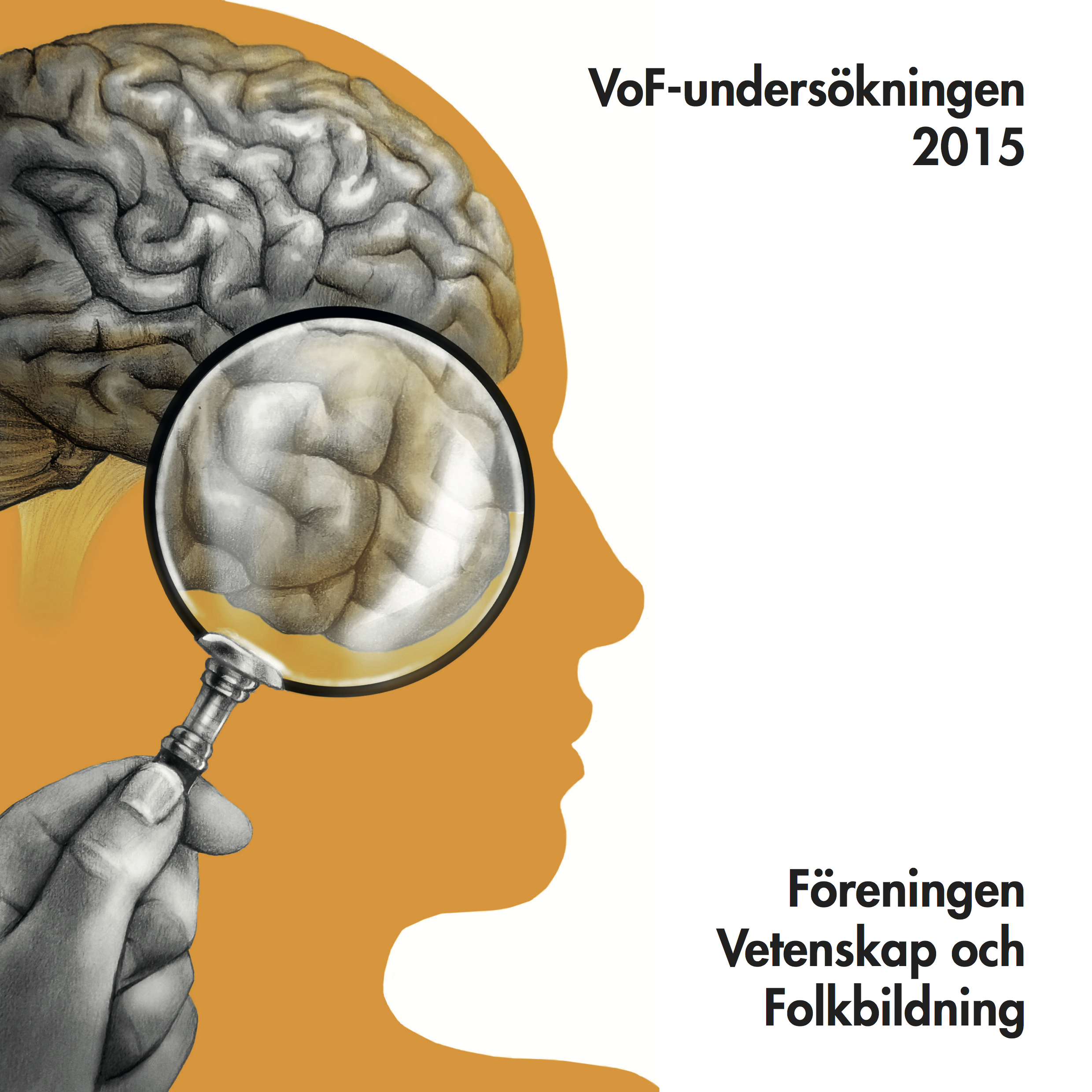 VoF-undersökningen 2015