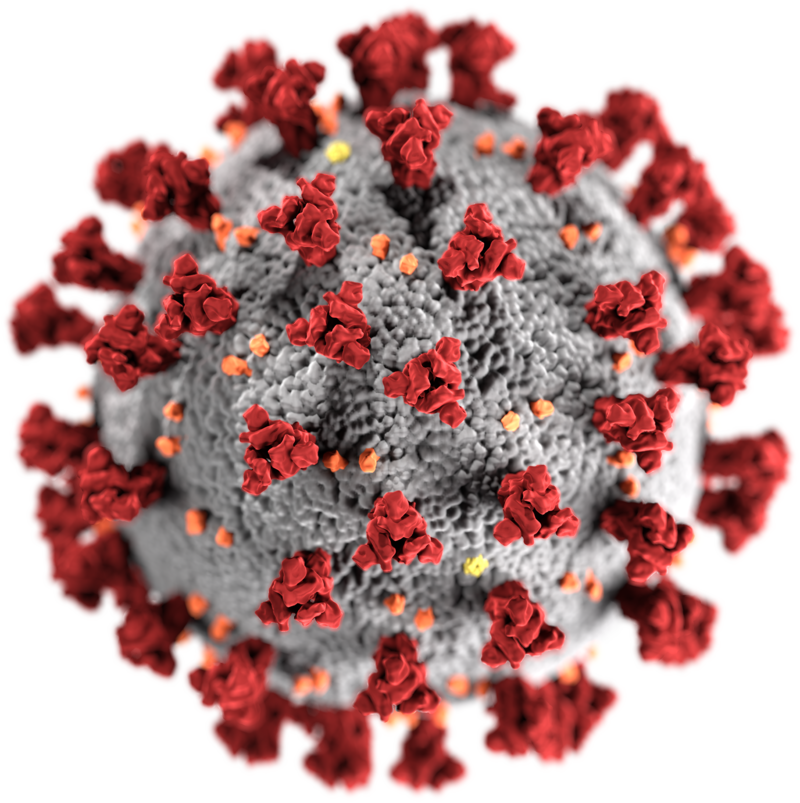 SARS-CoV-2 virus (modell) SARS-CoV-2 virus (modell)