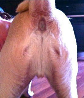 Jesus? Jesus?