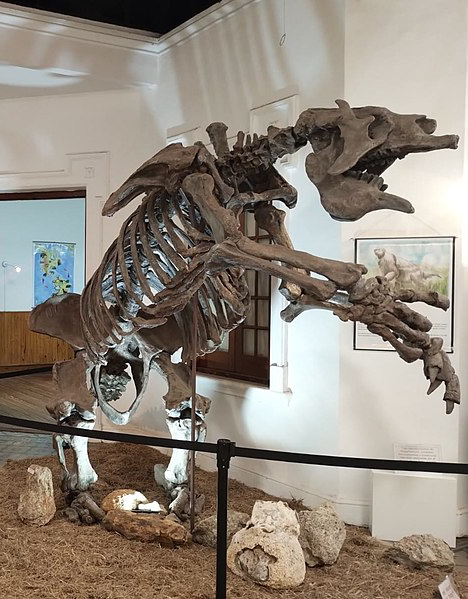 Megatherium