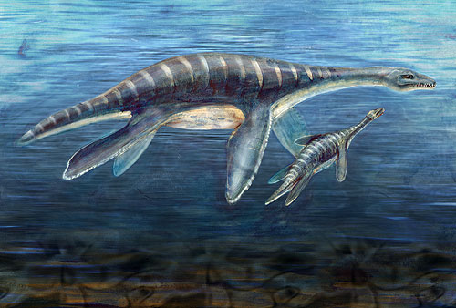 Plesiosaur