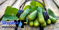 Växter som gillar musik