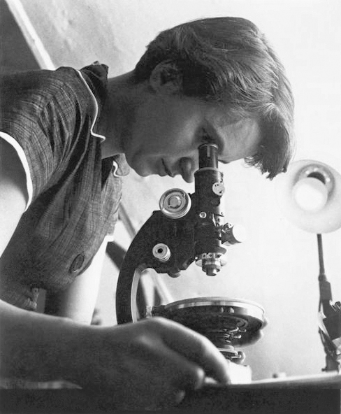 Rosalind Franklin Rosalind Franklin