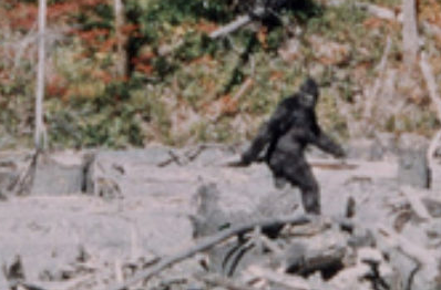 Bigfoot Bigfoot